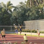 Volleyball-and-cricket_6k