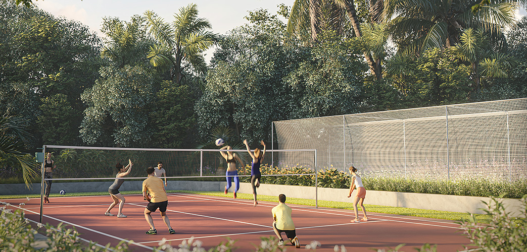 Volleyball-and-cricket_6k